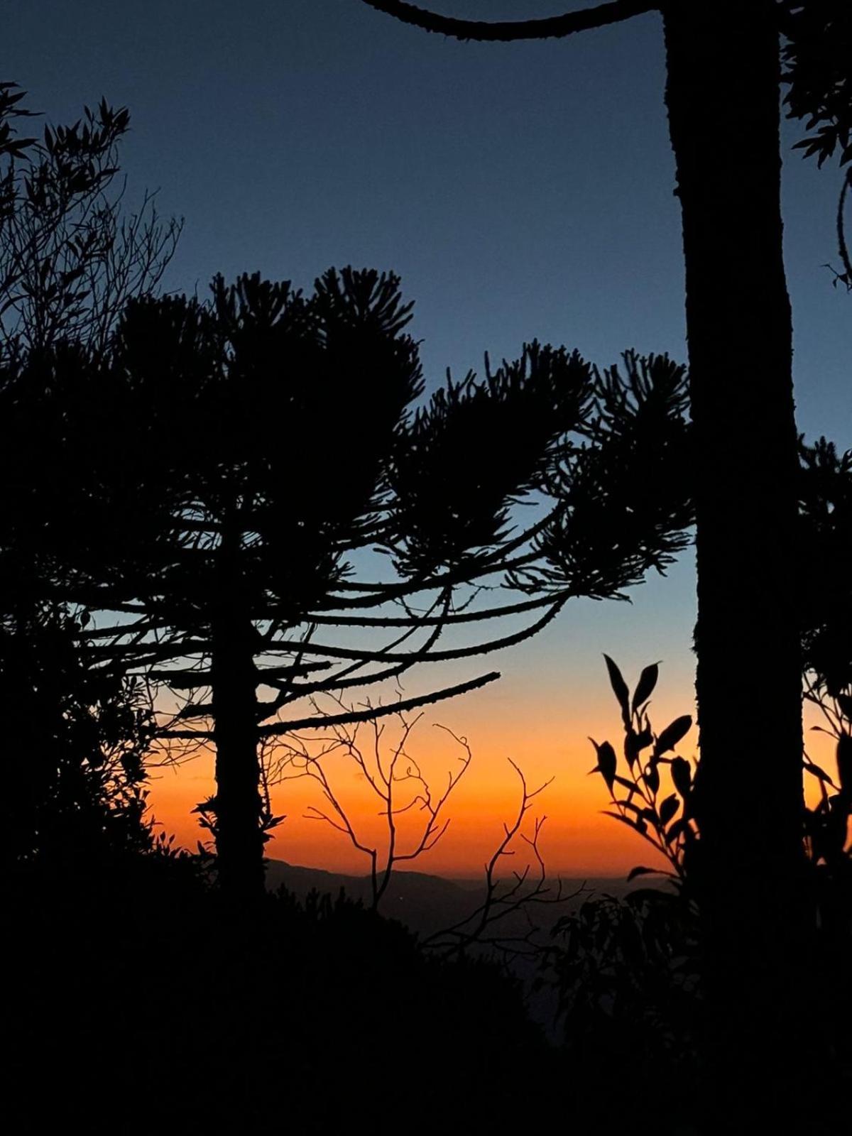 Charme E Conforto Na Montanha - Campos Do Jordao Proximo Ao Centro 外观 照片